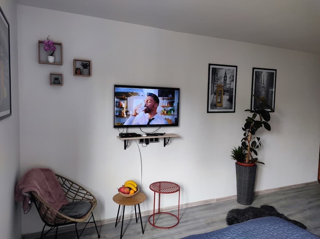 TV corner with armchair and houseplant