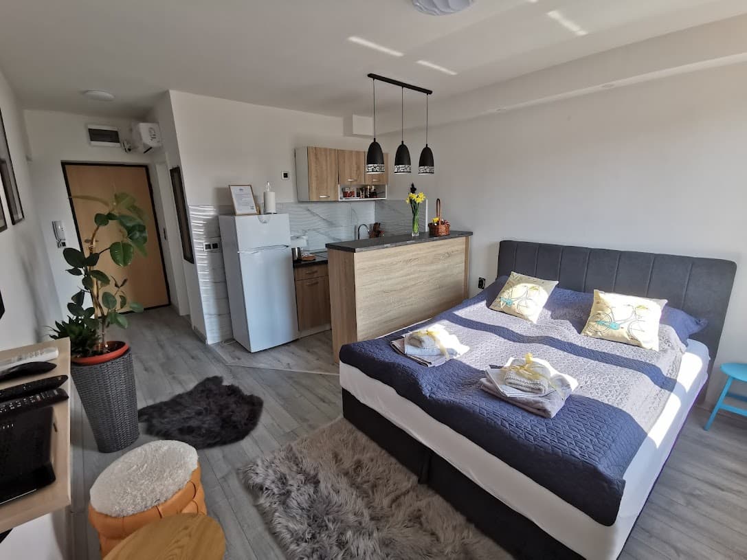 Studio overview with bed, kitchenette, and entrance