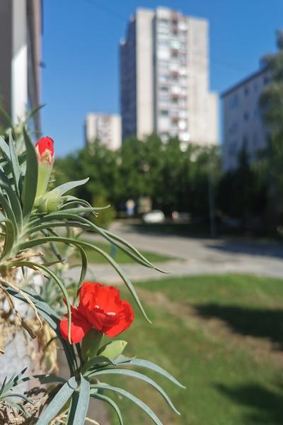 Pogled sa terase
